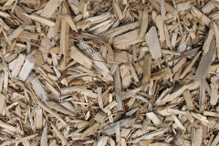 biomass boilers Teigngrace